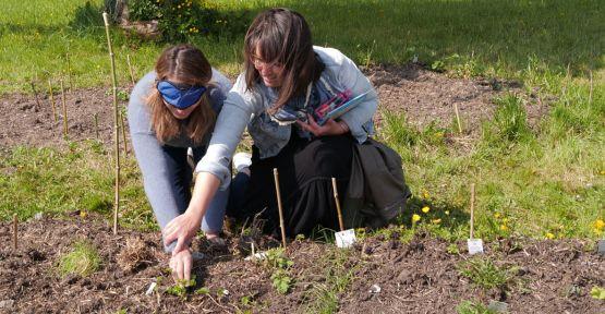 Quatre formations nature proposées aux enseignants
