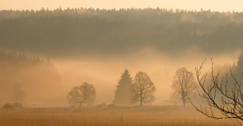 Pauysage de fagne sous la brume ambiance automnale