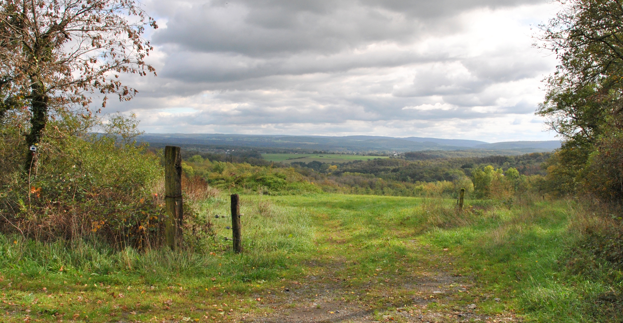 Paysage prairies chemin