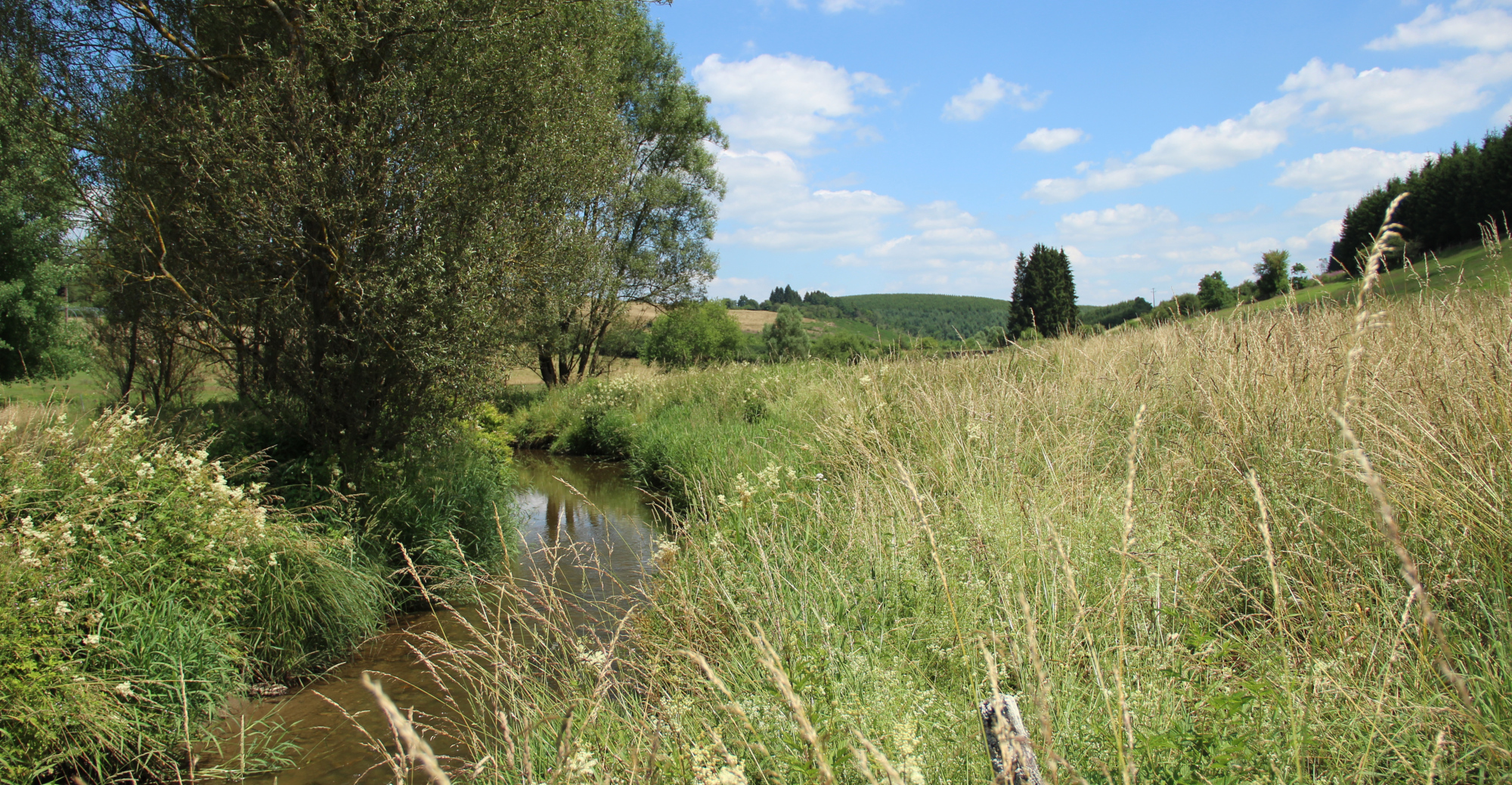 Vallée de la Sûre