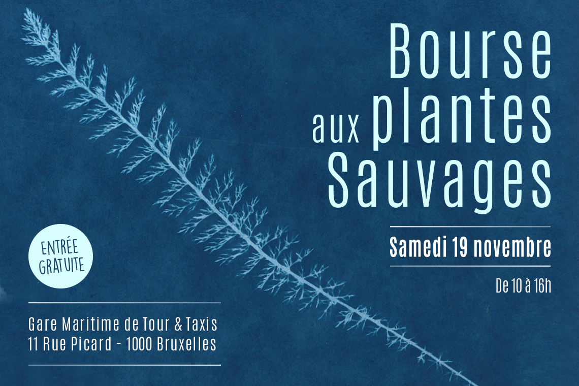 Bourse aux plantes sauvages