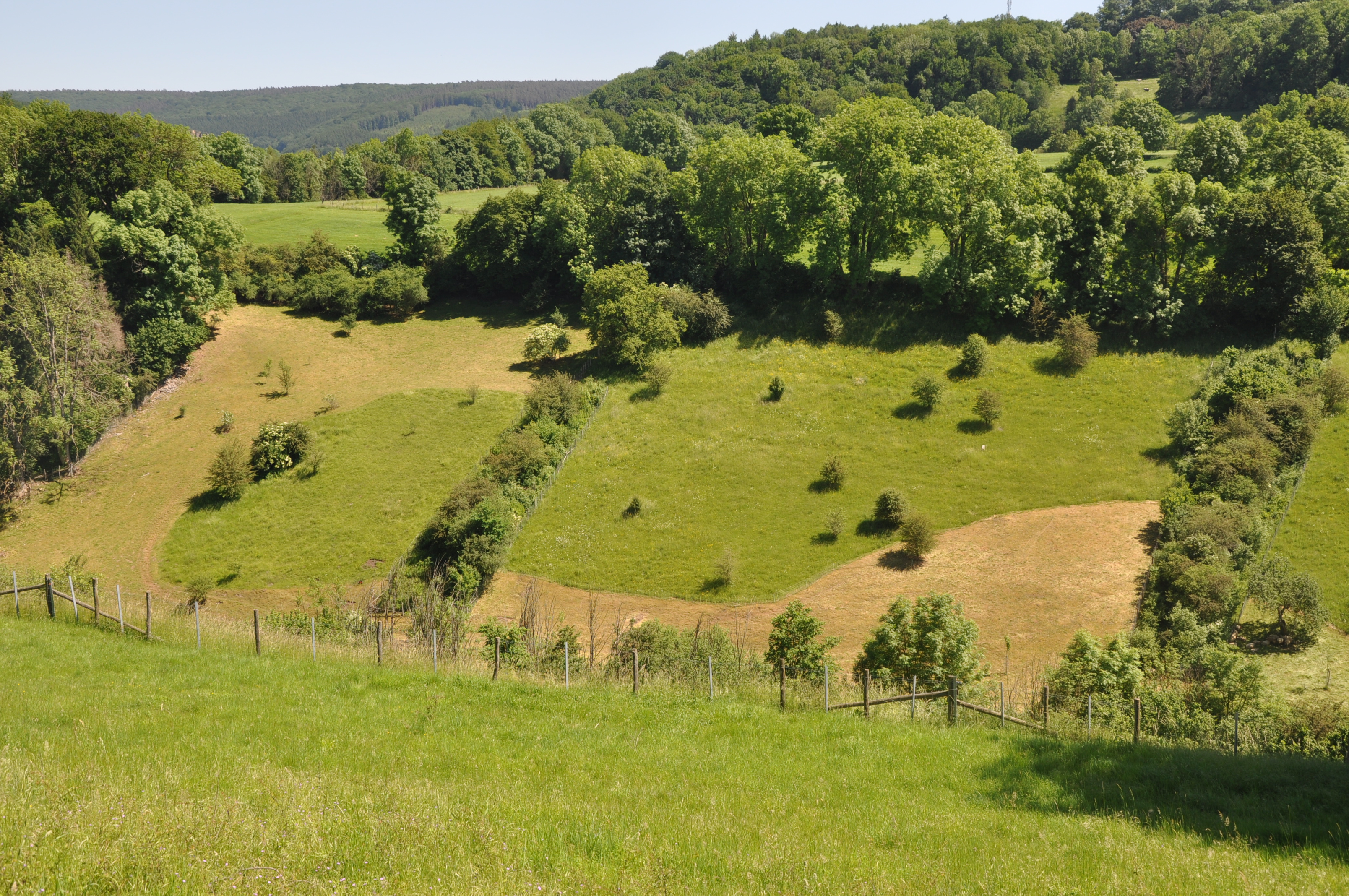 Vue sur les parcelles Nord du Vallon du Wayot