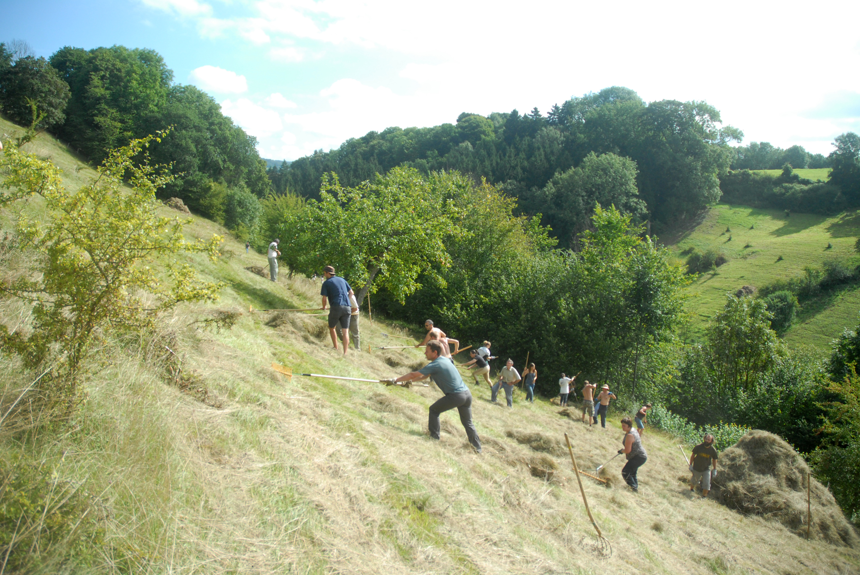 Un week-end convivial et efficace au Vallon du Wayot et au Coteau de Mont