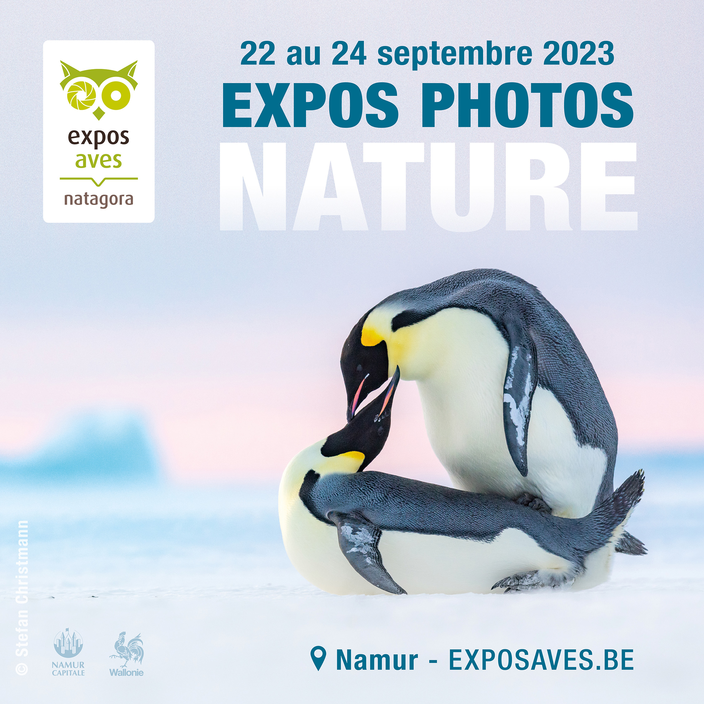 Visuel des Expos Photos Nature Aves