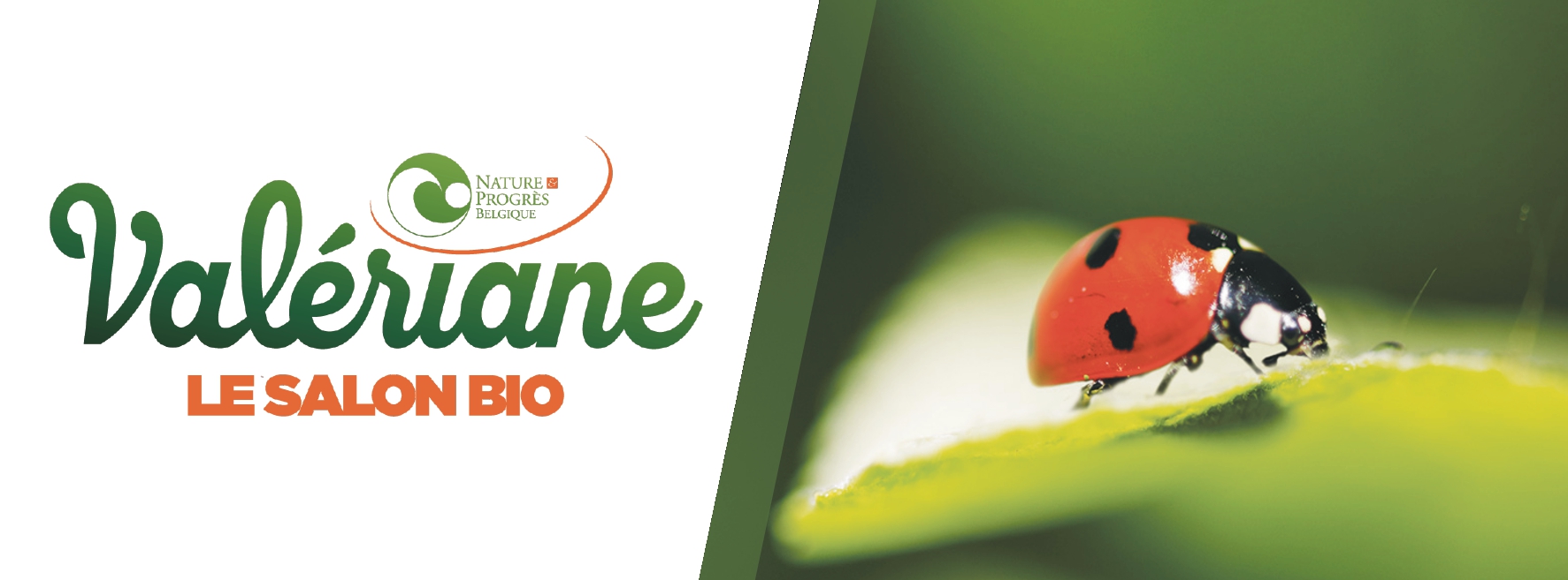 Couverture Valériane 2023