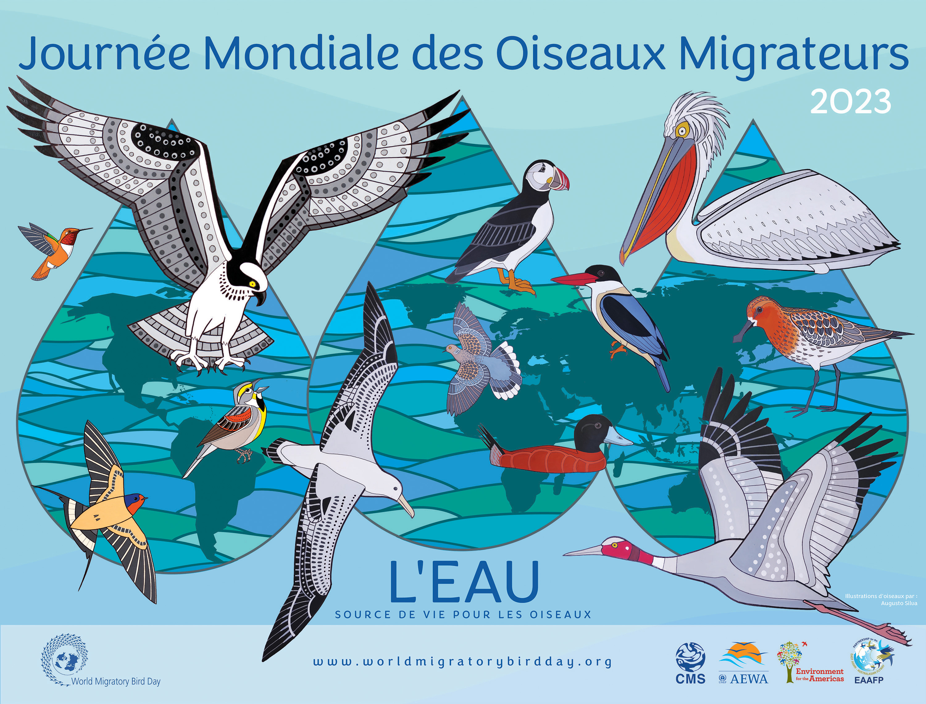Oiseaux migrateurs et l'eau