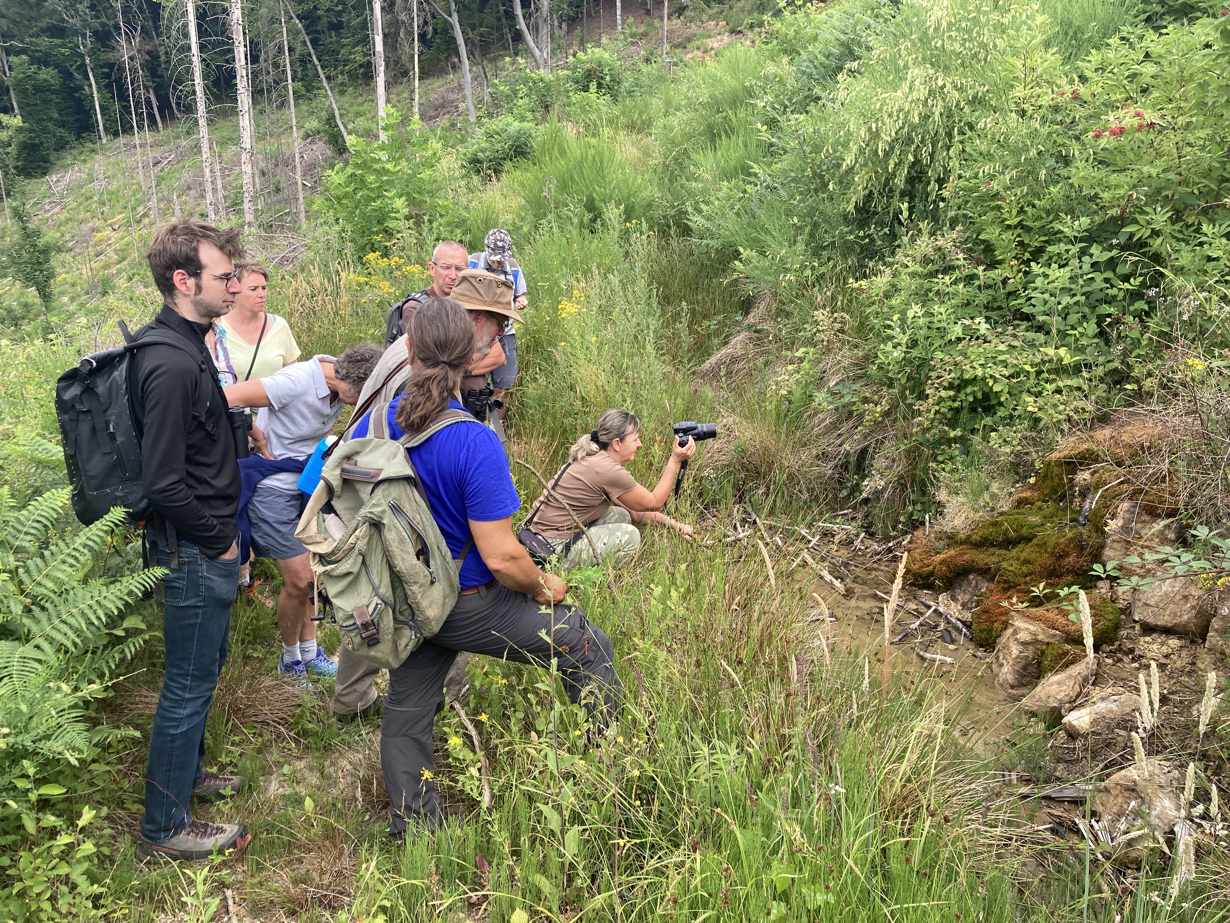 Le nouveau site de Lahage regorge de presque 10 crons parfois petits mais aussi bien plus grands...