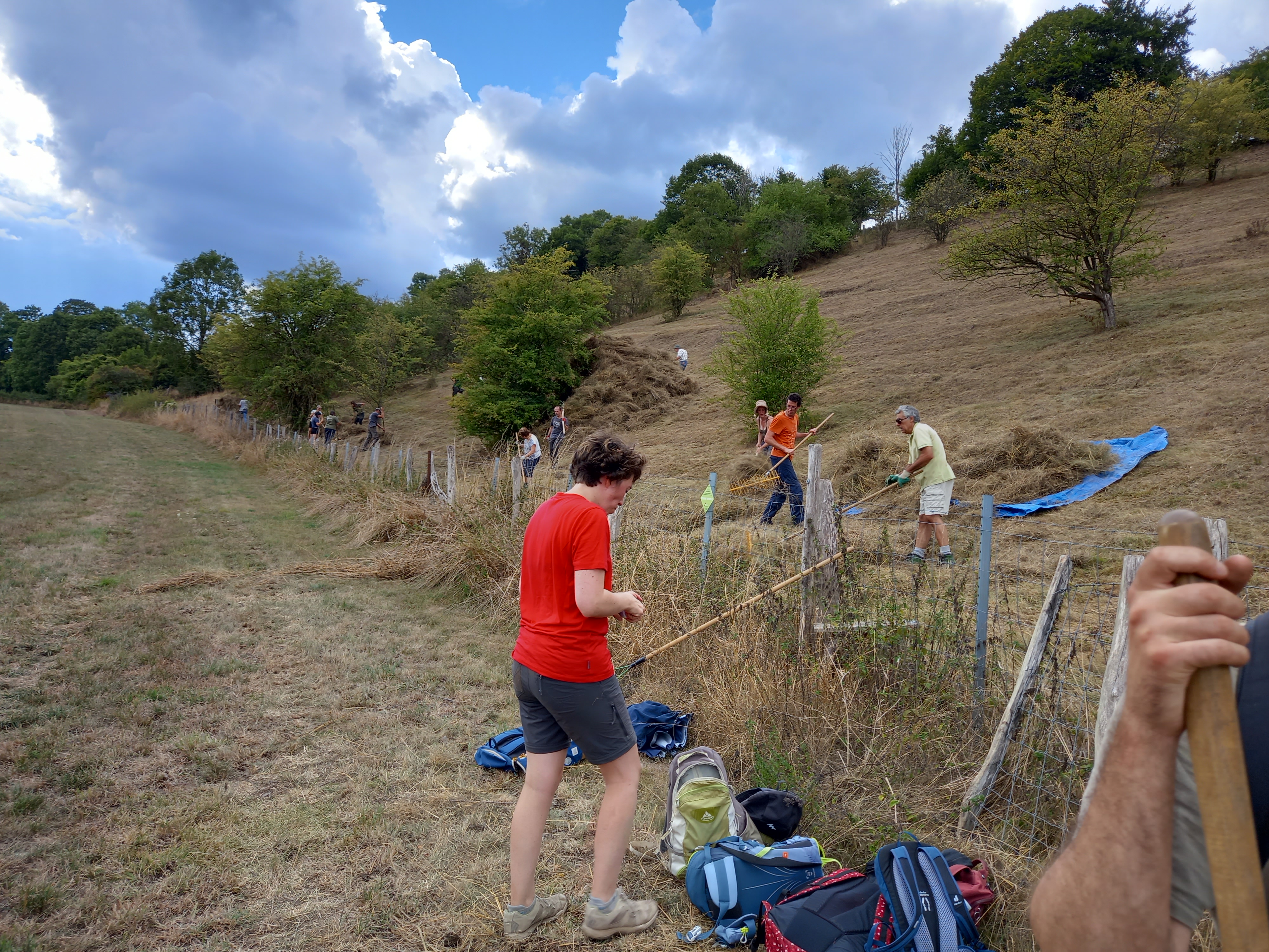 Gestion sur le Coteau de Mont