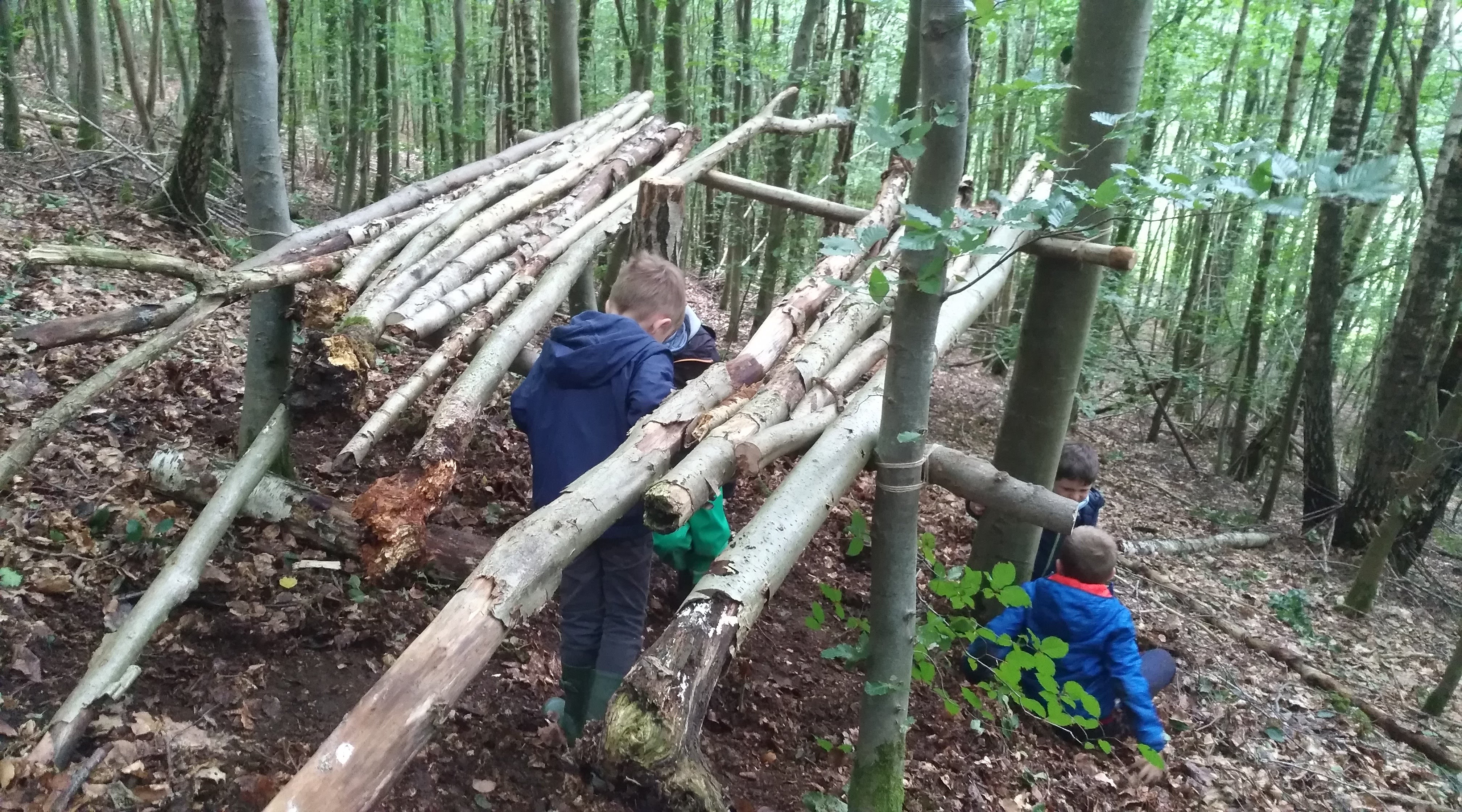 Enfants sauvages