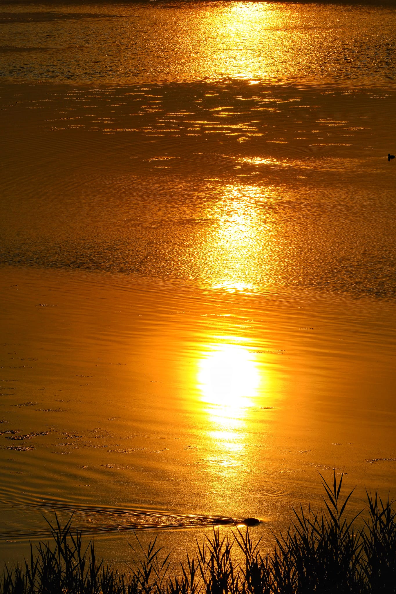 Coucher de soleil