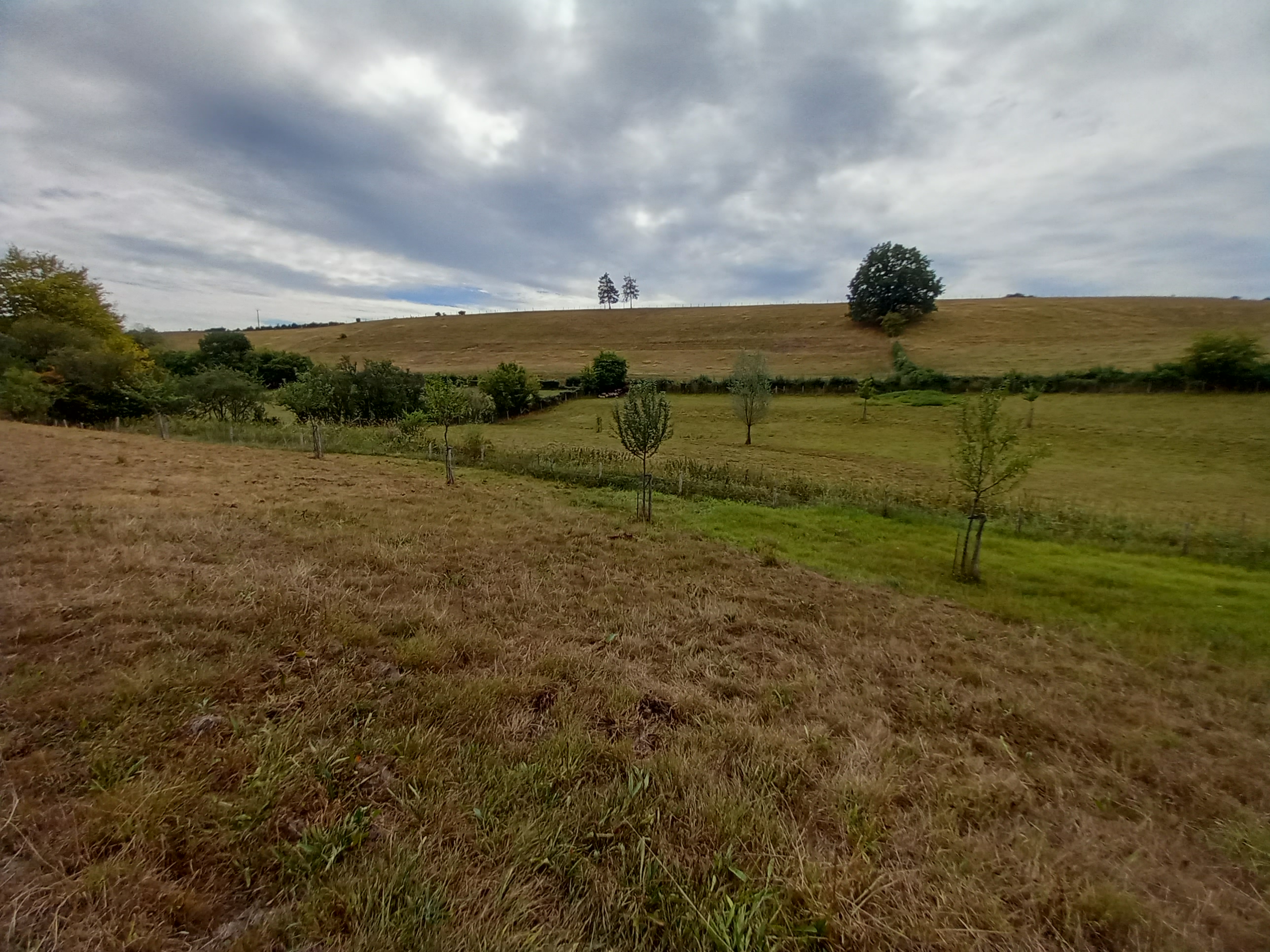 Réserve du Pré l'évêque à Sassor