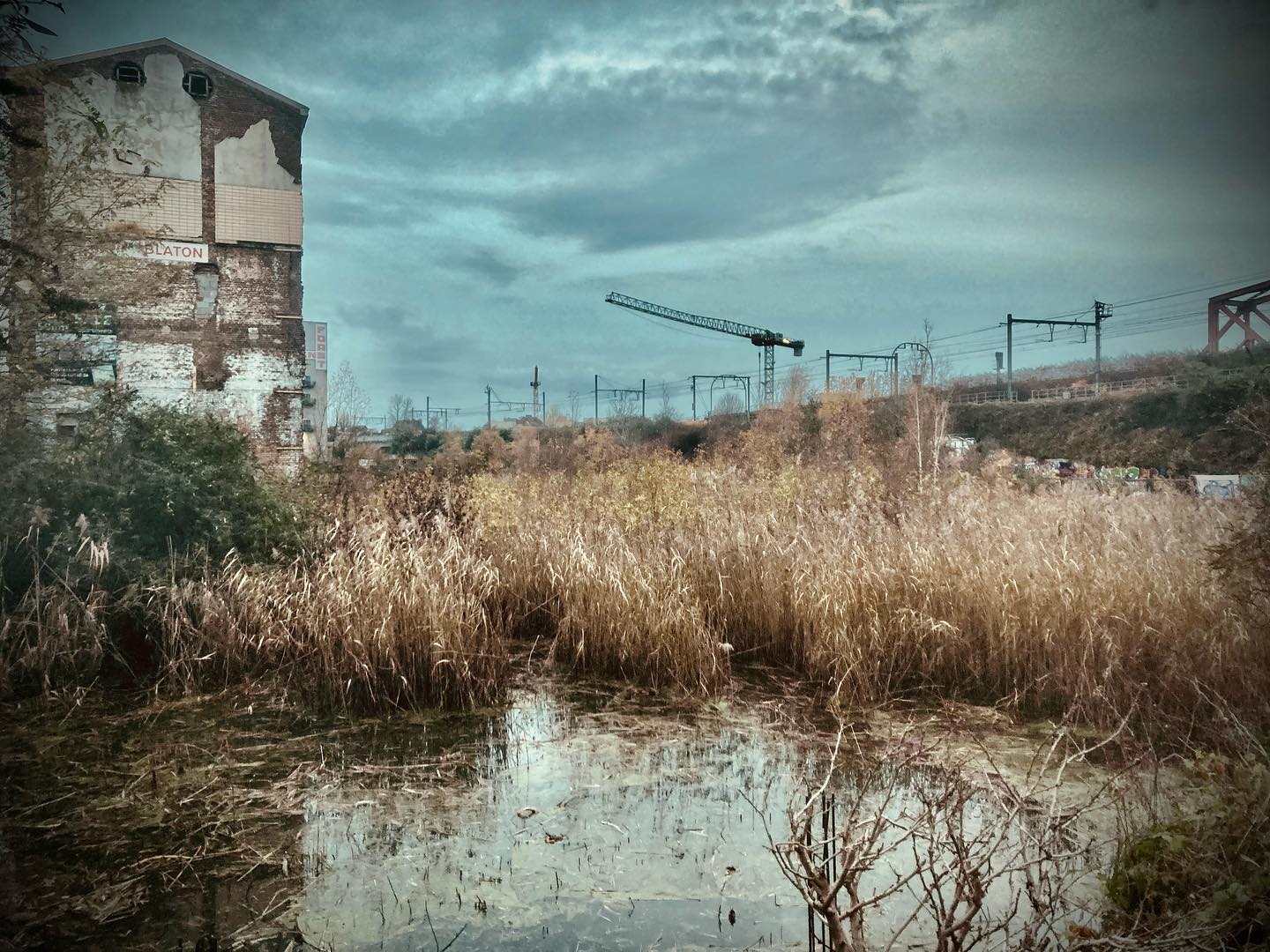 Photo du marais Wiels, un plan d'eau avec une roselière et un bâtiment industriel en arrière-plan