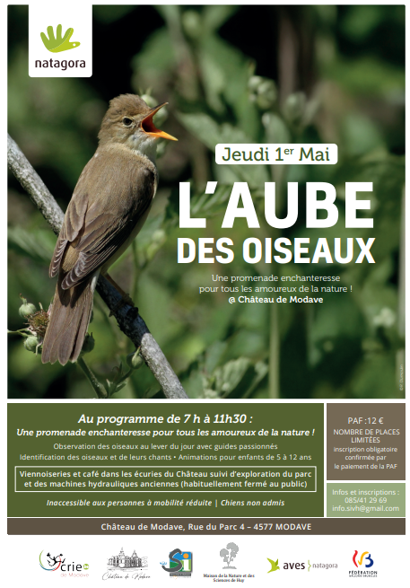 L'aube des oiseaux