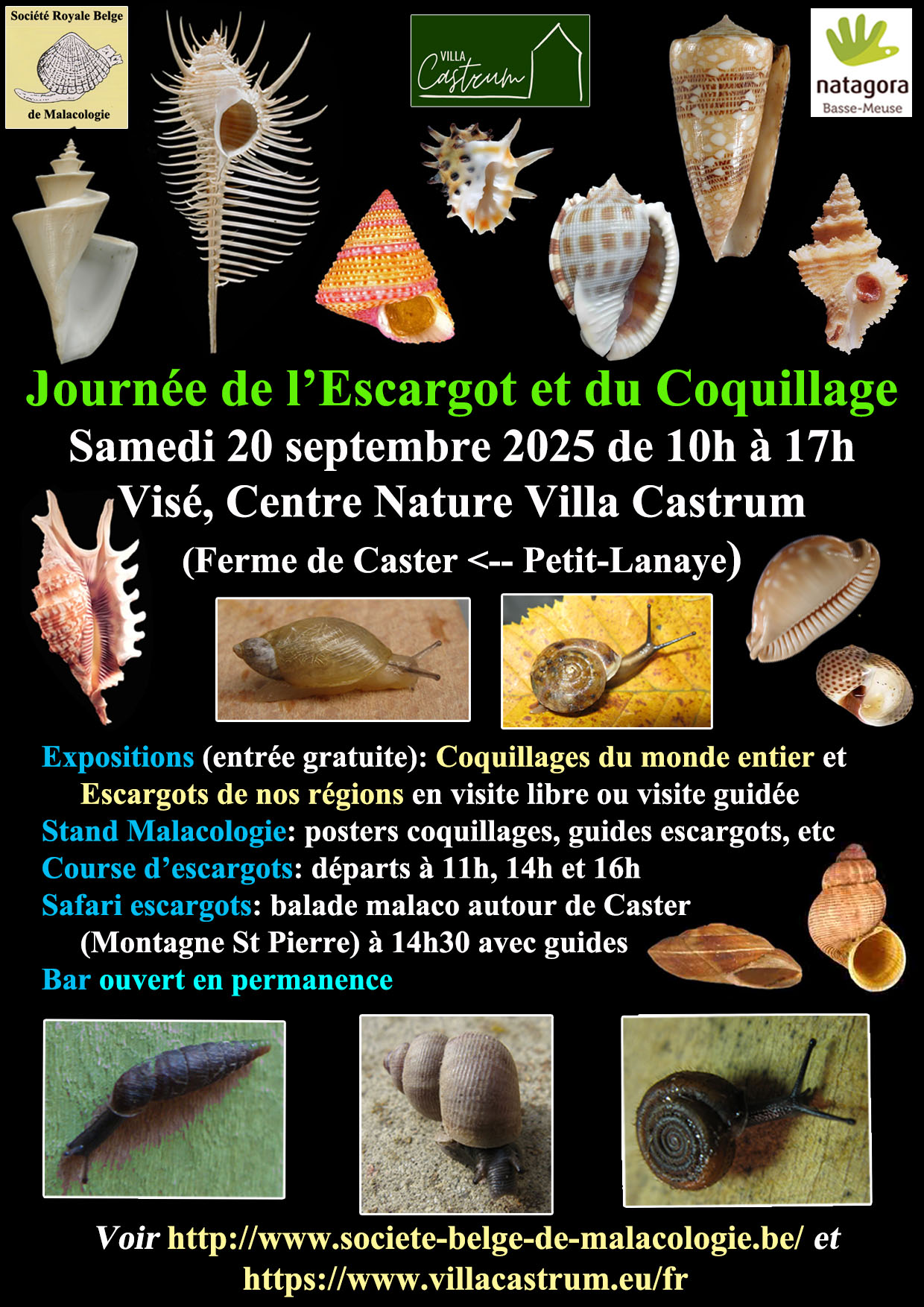 Journée de l'Escargot et du Coquillage