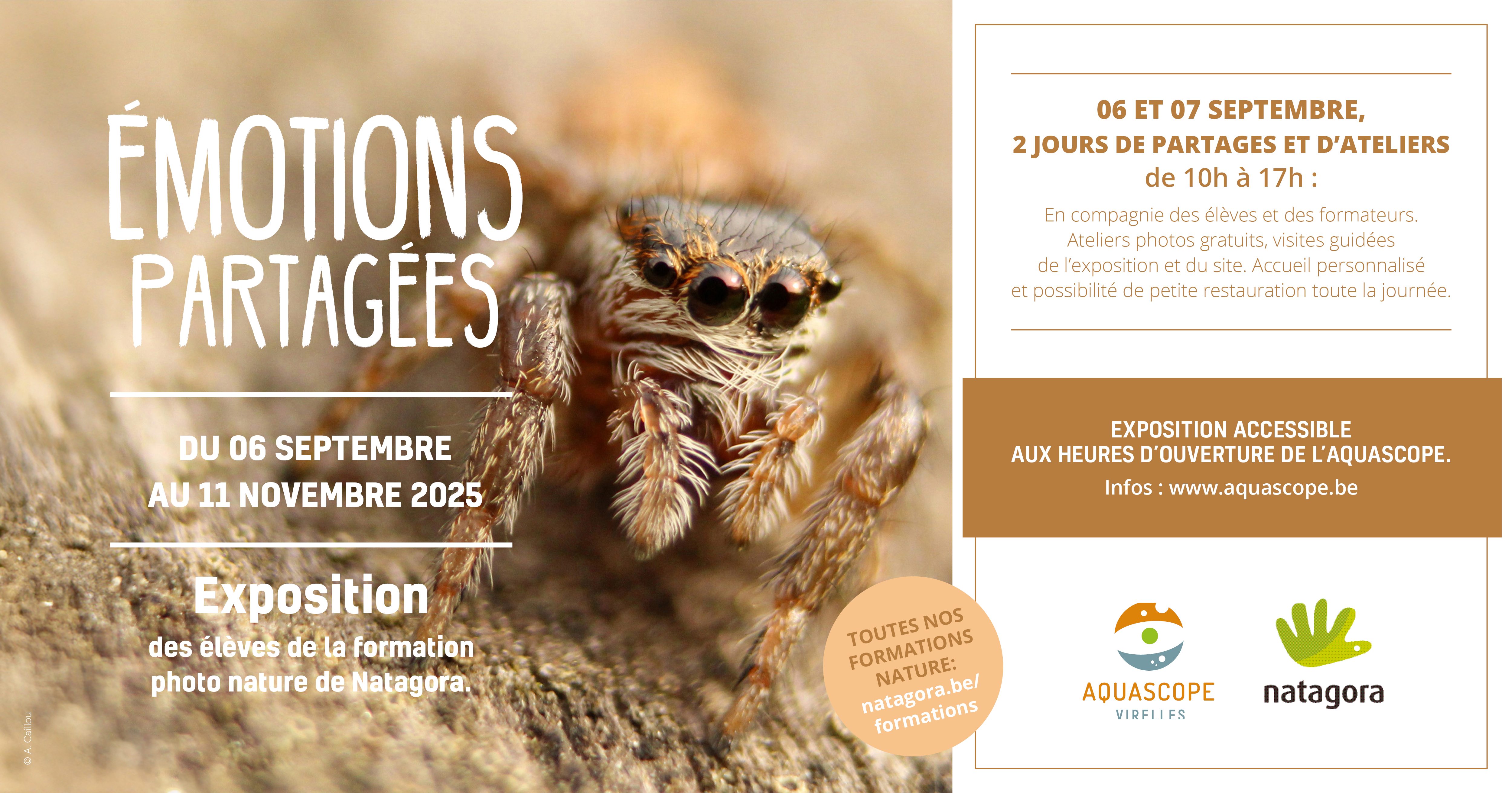 Émotions partagées