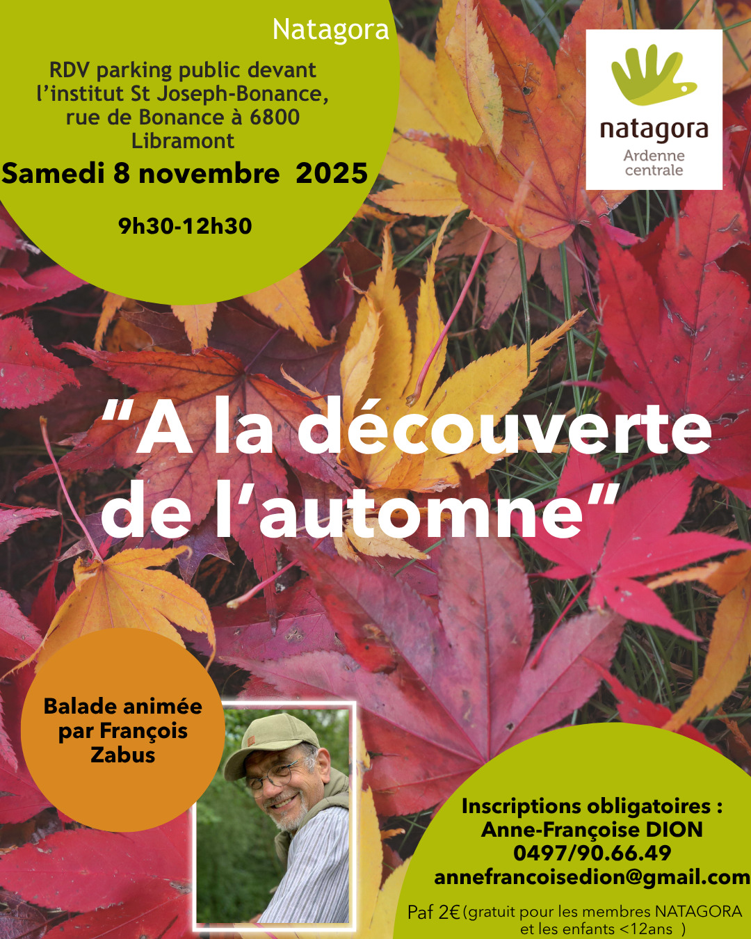 colourful autumn leaves