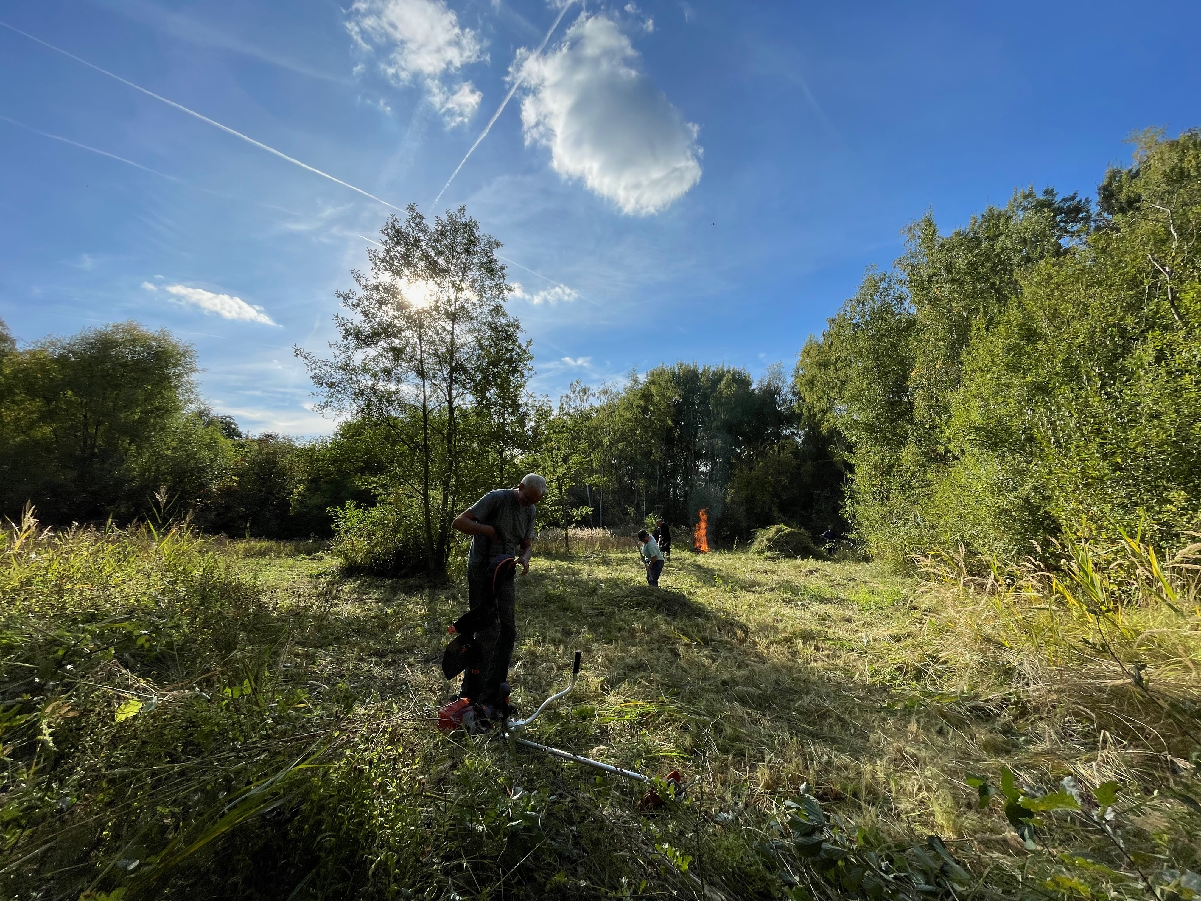 Prairie de fauche au Mouplon