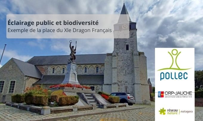 Éclairage public et biodiversité. Exemple de la place du Xle Dragon © AC Orp-Jauche