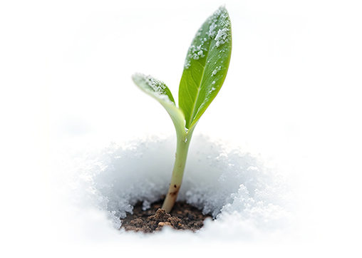 Plus la nature est riche, plus elle résiste.