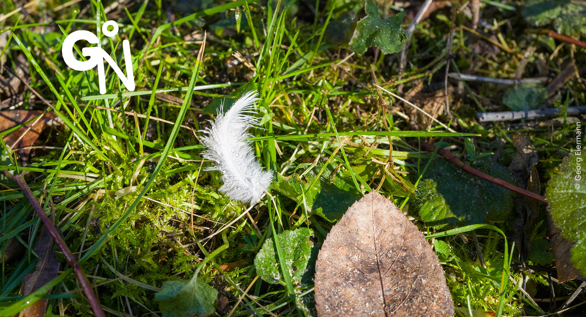 Initiation au pistage dans le Verger de la Marlagne | Natagora