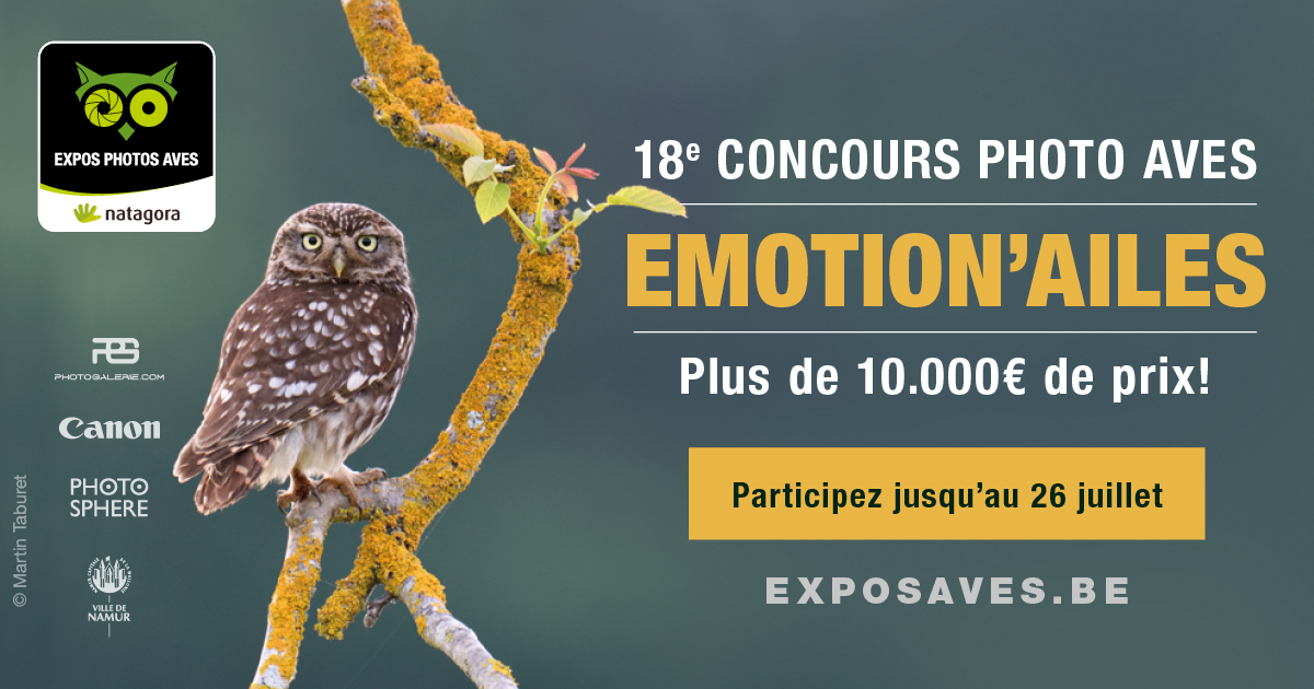 Concours Emotion'Ailes