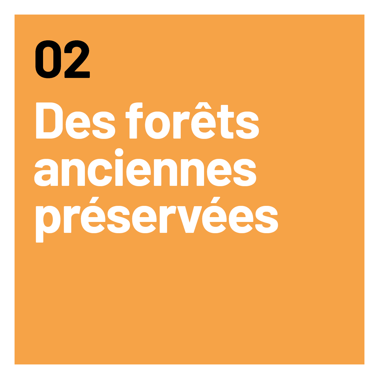 Des forêts anciennes préservées