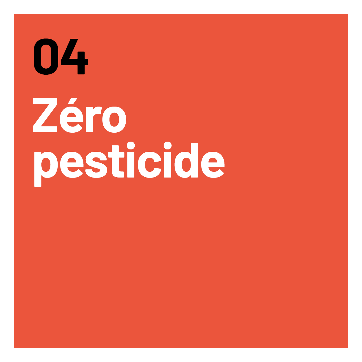 Zéro pesticide