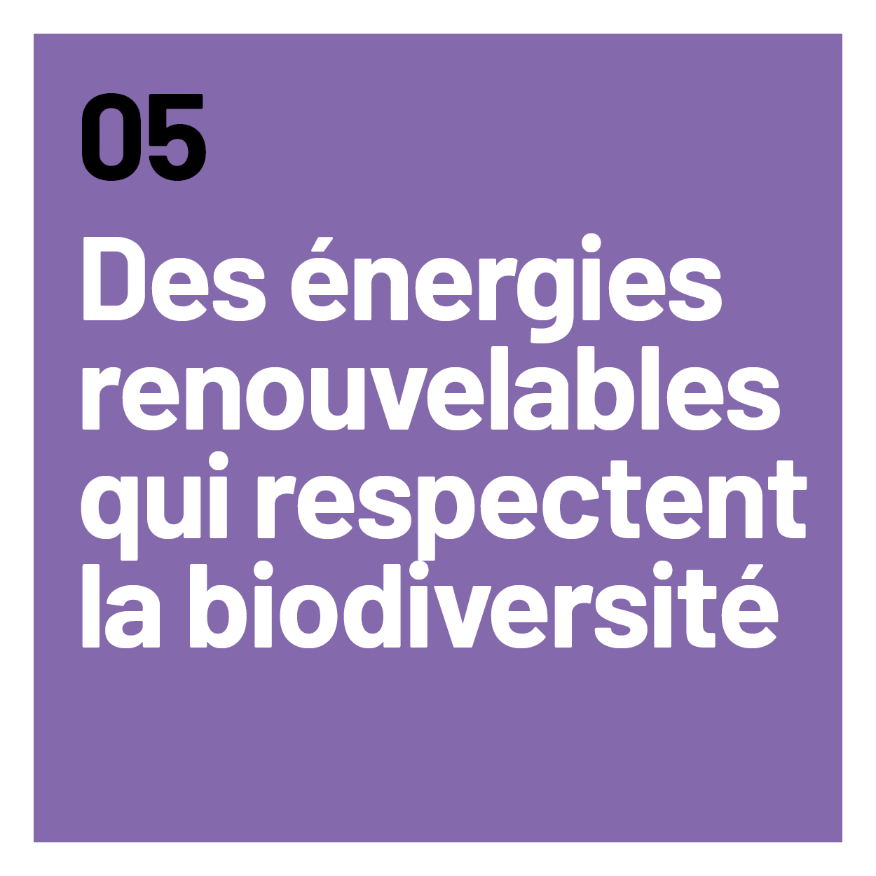 Des énergies renouvelables qui respectent la biodiversité