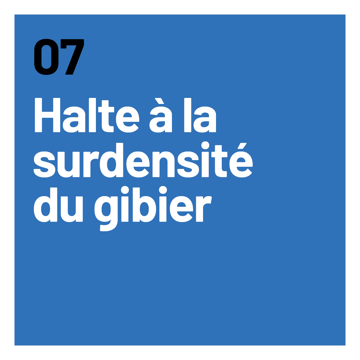 Halte à la surdensité du gibier