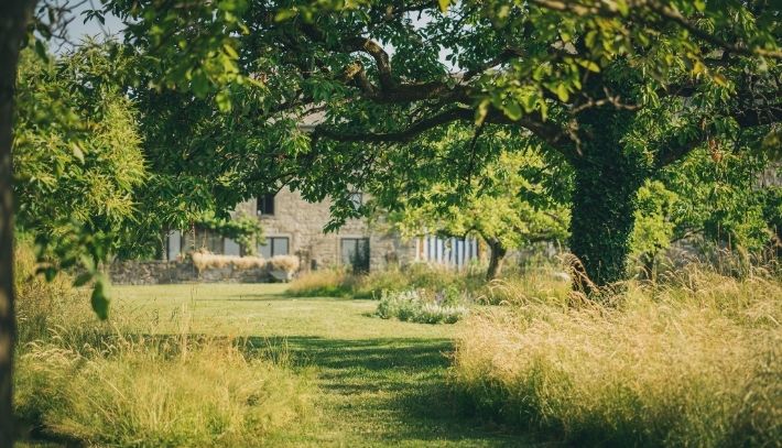 Jardin naturel