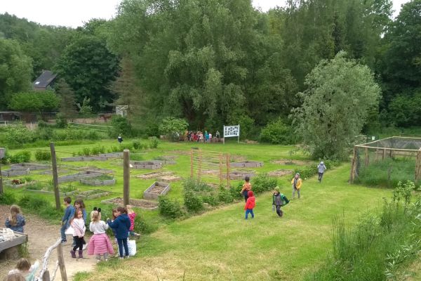 École participante au projet Ose le vert