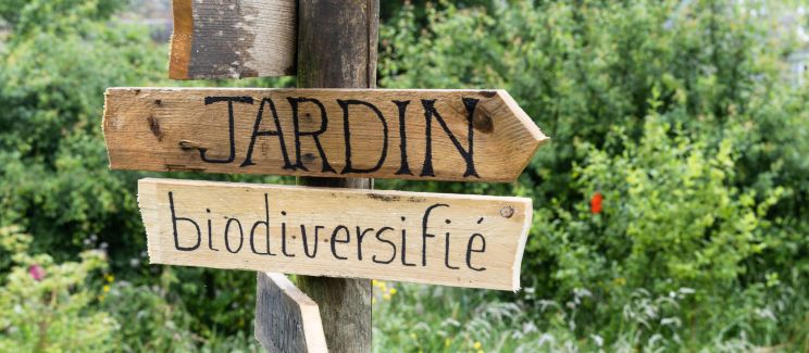 Jardin biodiversifié