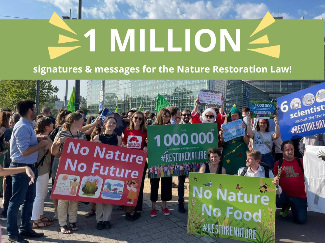 Rassemblement 1 million de signataires.