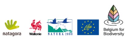 Logos Natura 2000 Day