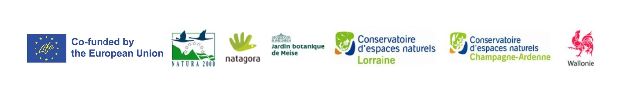 LIFE - Natura 2000 - Natagora - Jardin Botanique de Meise - Conservatoire d'espaces naturels Lorraine - Conservatoire d'espaces naturels Champagne-Ardenne - Wallonie