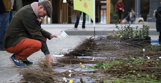 Homme en train de choisir des plants indigènes