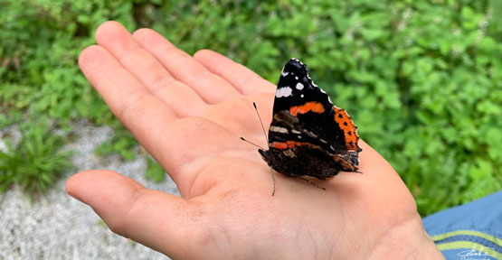 Vulcain dans une main d'enfant