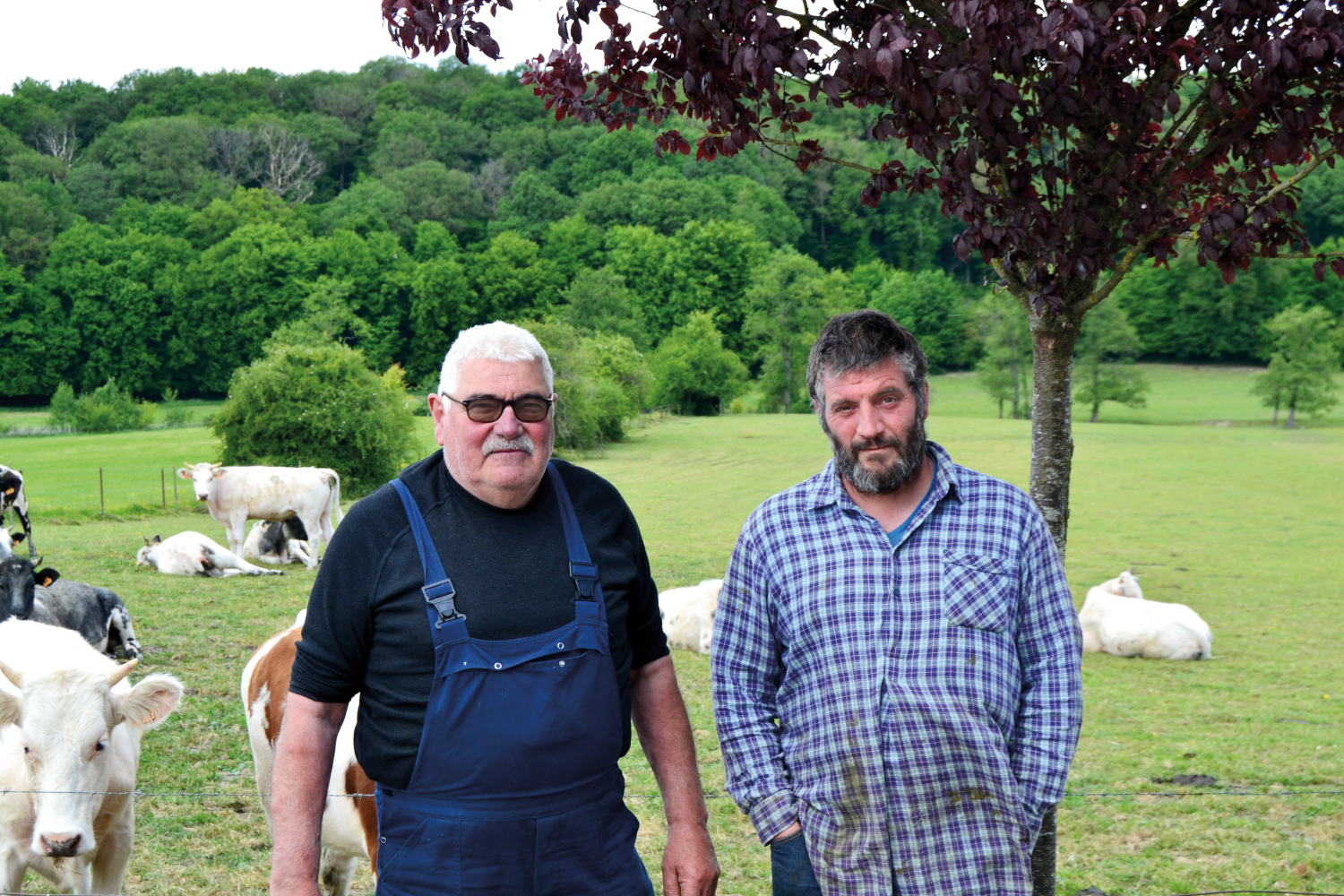 Olivier et Philippe Leurquin (Salles, Chimay)