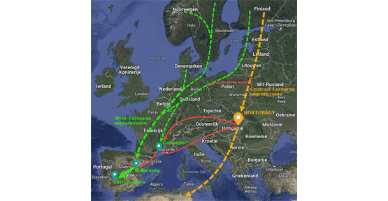 Routes migratoires des grues - Gert Vandezande