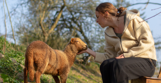Un mouton et un femme