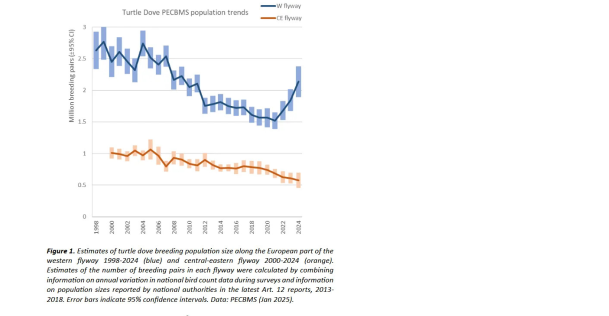 Turtle Dove PECBMS population trends