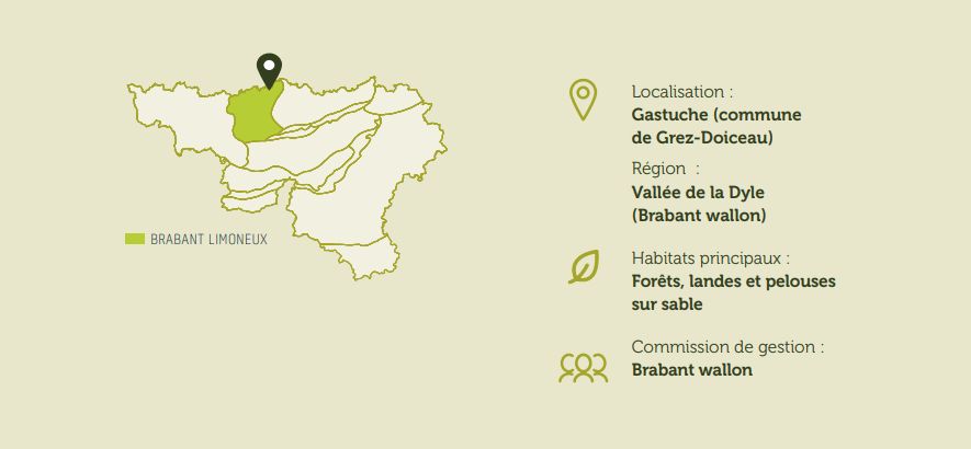 Carte Gastuche