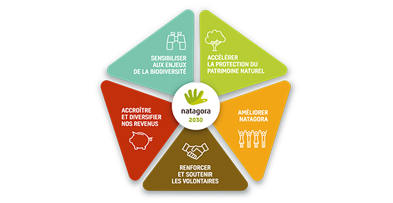 Cinq grands axes d'action