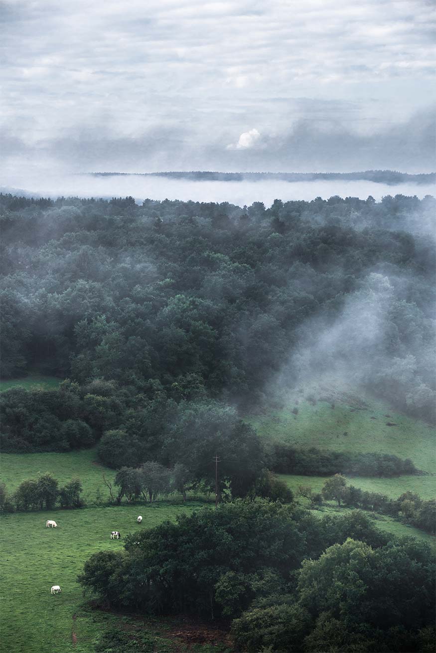 Paysage de Calestienne