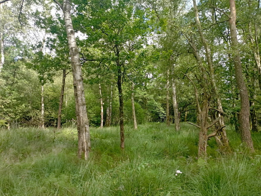 Vallée de Tavigny