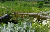 Jardin nature