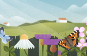 Le grand recensement des papillons de jardin
