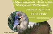 ​​​​​​​Photo-montage : Thierry Gridlet
