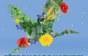 affiche fête du parc