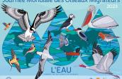 Oiseaux migrateurs et l'eau